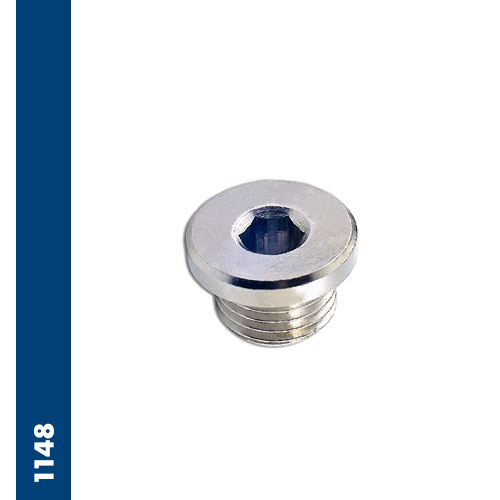 Immagine 1148 - M plug BSPP & metric thread with exagon embedded