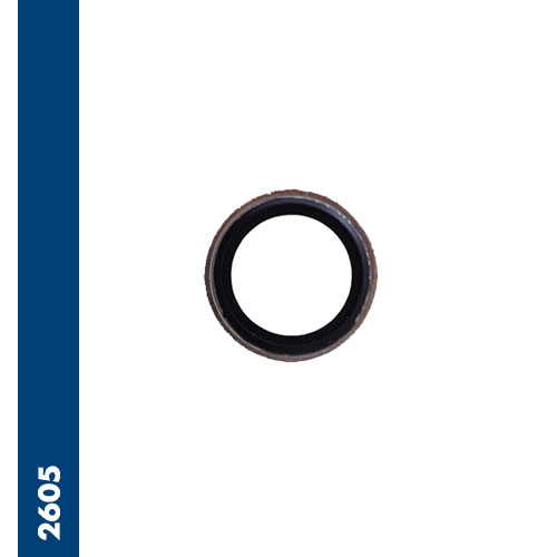 Immagine 2605 - Metal seal