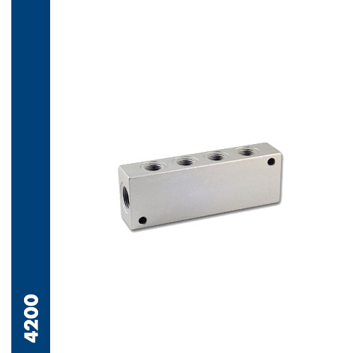 Immagine 4200 - Aluminum double distribution manifold